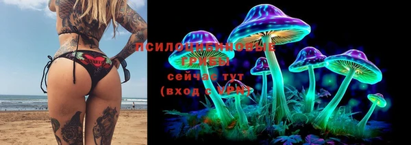 дживик Вязники