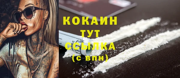 дживик Вязники