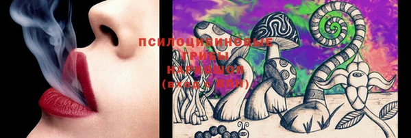 дживик Вязники