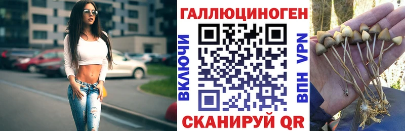 hydra tor  Яранск  Псилоцибиновые грибы Cubensis 