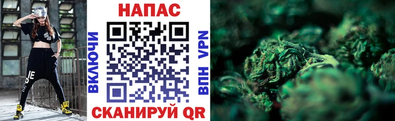 Шишки марихуана семена  Яранск 